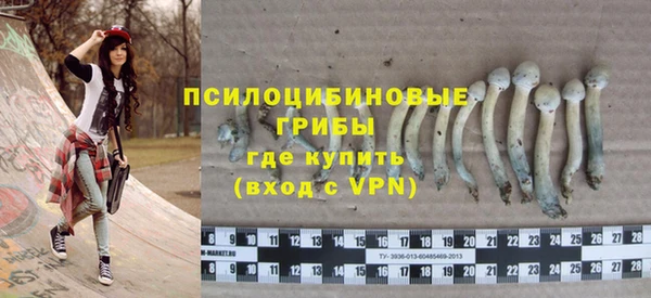 прущий лед Гусь-Хрустальный