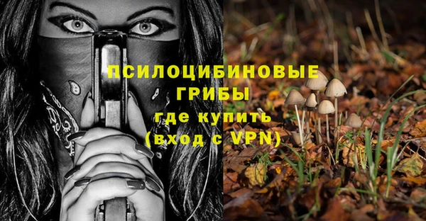 прущий лед Гусь-Хрустальный